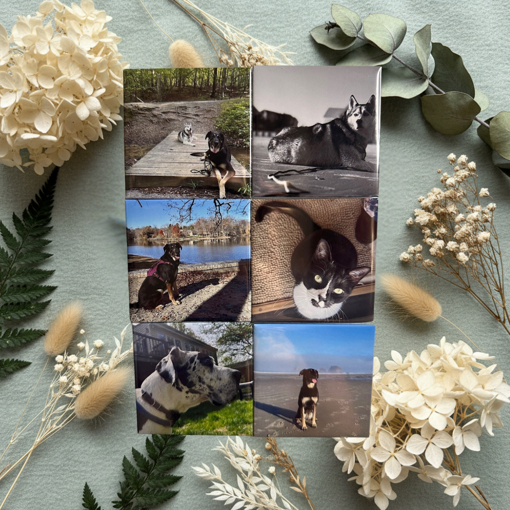 Custom Photo Magnets – 2.5x2.5